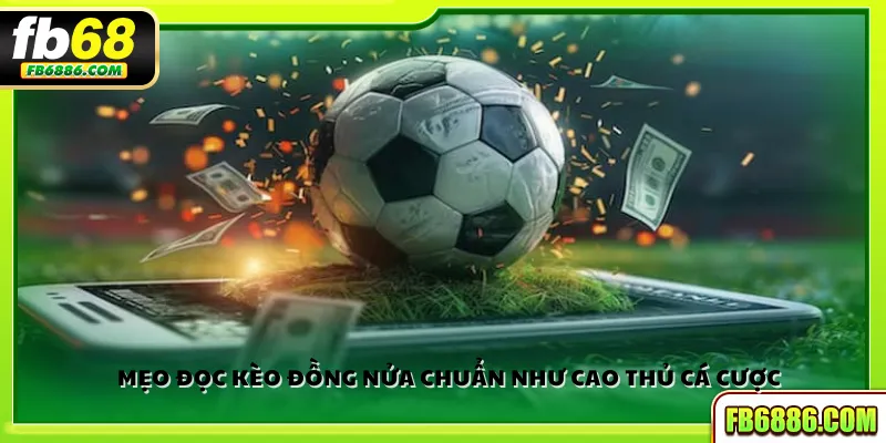 Mẹo đọc kèo đồng nửa chuẩn như cao thủ cá cược