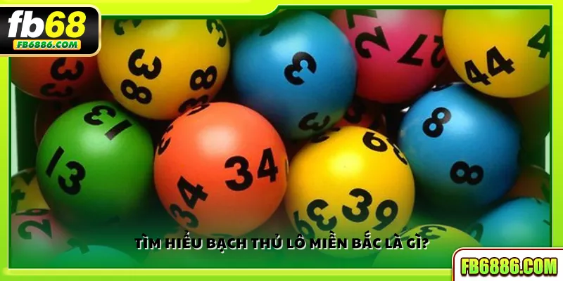 Tìm hiểu bạch thủ lô miền Bắc là gì?
