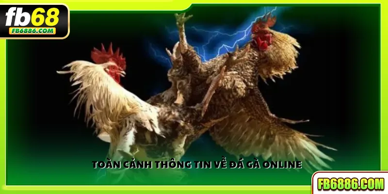Toàn cảnh thông tin về đá gà online